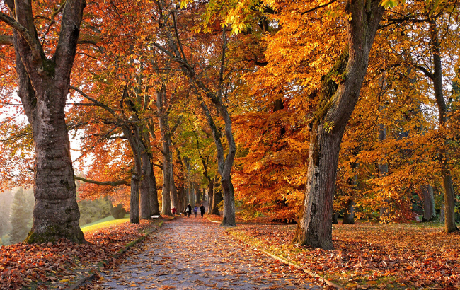 Друге бабине літо: синоптик здивував прогнозом на листопад